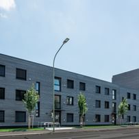 Grünes und Bäume vor dem Wohngebäude