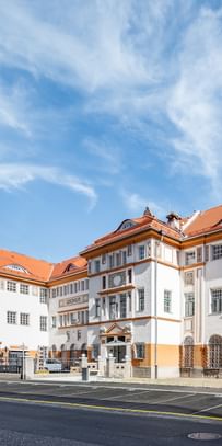 Detailreiche Jugendstilfassade des Dorotheum Linz mit aufwendig verzierten Fenstern, geometrischen Ornamenten und markanten orangefarbenen Zierelementen, restauriert mit Histolith-Farben