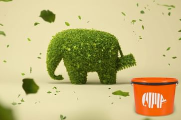 Grüner Elefant und orangener Farbeimer