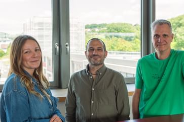 Drei Personen vor hellem Fenster, freundlich und offen – Weitblick & Support für Gestaltungsprojekte