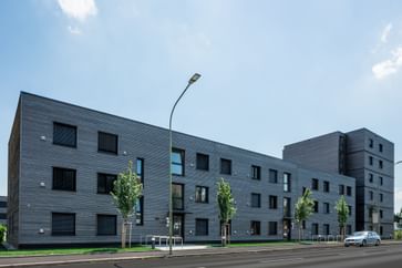 Grünes und Bäume vor dem Wohngebäude