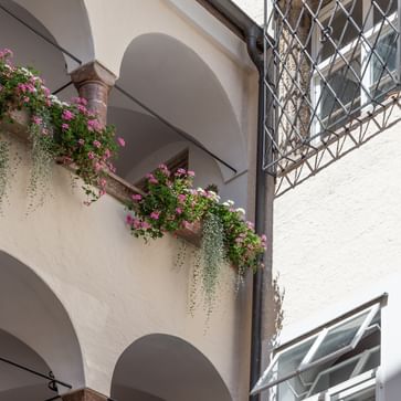 Rosa Balkonblumen und vergitterte Fenster
