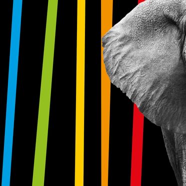 Elefant mit starken Farben – kraftvolles Symbol für Vielfalt, Erinnerung und Markenidentität