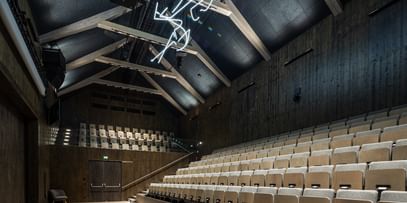 Auditorium mit einer Holzdecke und einer Sitzanordnung aus hellen, gepolsterten Stühlen. An der Decke hängt eine künstlerische Neoninstallation. Die Wände sind aus dunklem Holz, und es gibt eine Bühne im Vordergrund.
