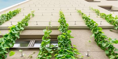 Gebäudefassade mit vertikaler Fassadenbegrünung