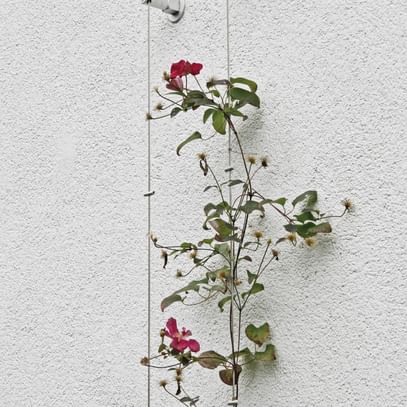 Vertikale Begrünung einer weißen Fassaden mit roten kleinen Blumen