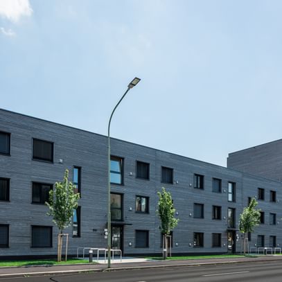 Grünes und Bäume vor dem Wohngebäude