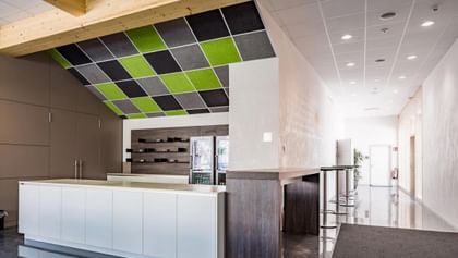 Kantine mit grün-grauen Hanfpaneelen an der Schräge – frisch, klar und modern inszeniert