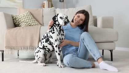 Frau streichelt Dalmatiner im Wohnzimmer – Wohlfühlklima für Mensch und Tier