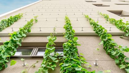 Gebäudefassade mit vertikaler Fassadenbegrünung