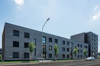 Grünes und Bäume vor dem Wohngebäude