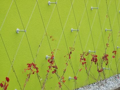 Grüne Wand mit einem Ranksystem im Rautenmuster an der kleine rote Pflanzen wachsen.