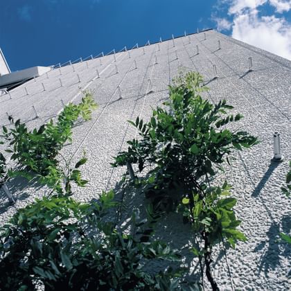 Fassade an der ein vertikales Ranksystem verläuft und an dem grüne Pflanzen entlangwachsen