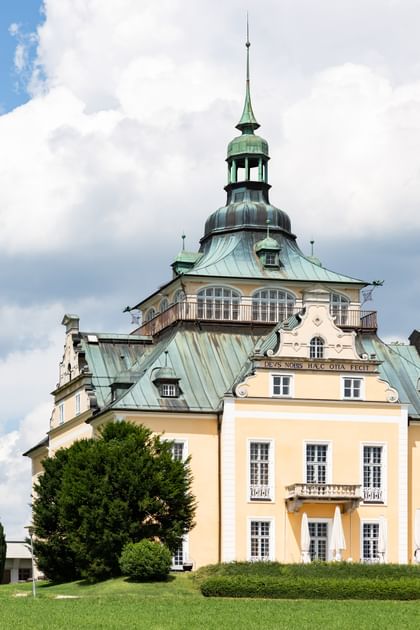 Grüner Busch vor der Villa Toscana