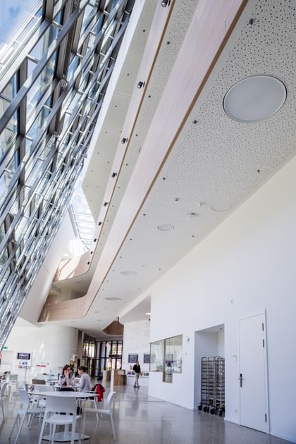 Heller, moderner Lobbybereich der Anton Bruckner Privatuniversität mit großen Glasflächen, Holzbalkon und stilvollen Sitzgruppen; Tageslicht durchflutet den Raum und betont die offene, einladende Architektur der Universität.
