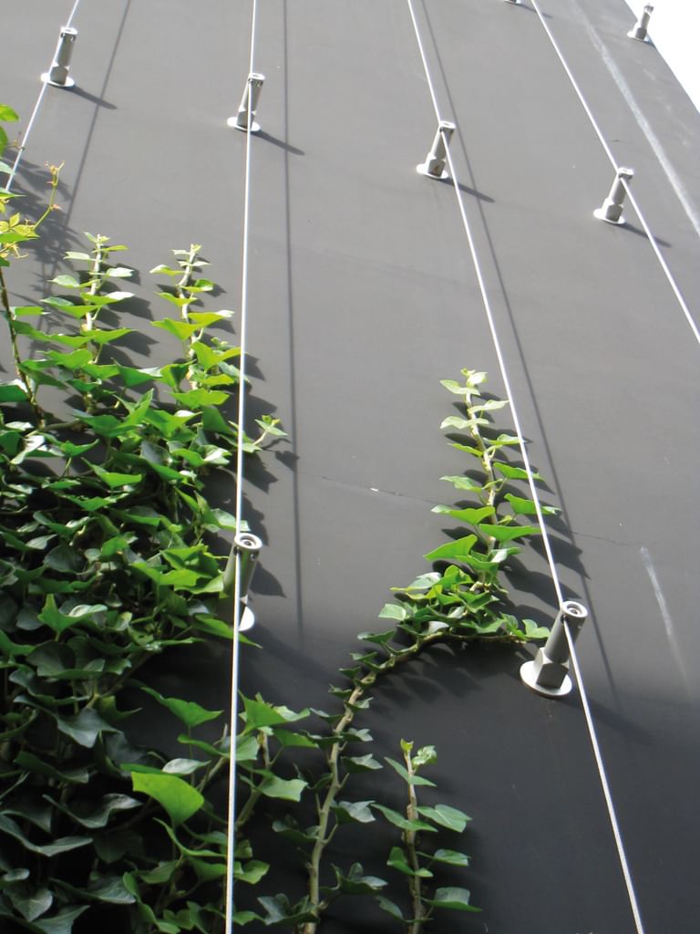 Graue Fassade an dem ein vertikales Ranksystem mit grünen Pflanzen befestigt ist