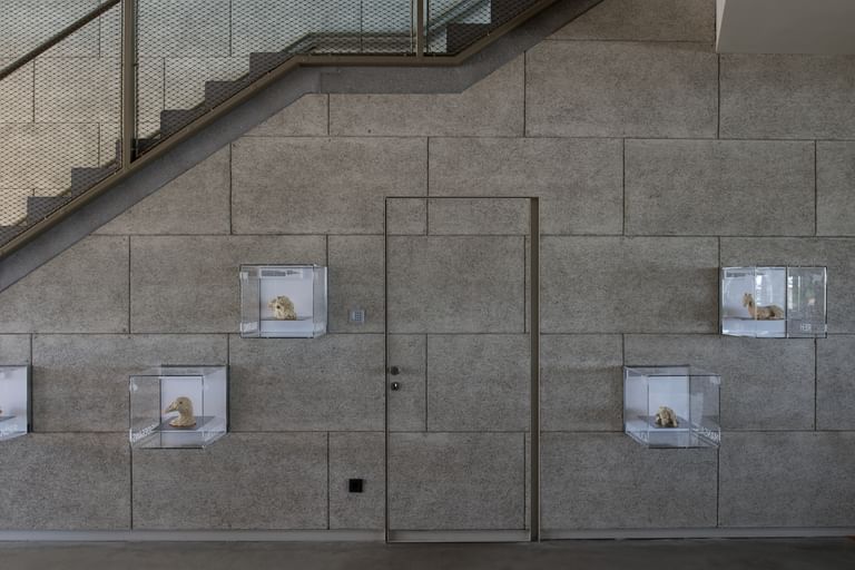Wände aus Stahlbetonhalbfertigteilen mit Treppe im Hintergrund und an der Wand hängende kleine Glasvitrinen, die jeweils ein ausgestelltes Tiermodell enthalten