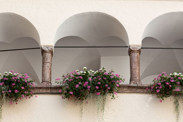 Balkone mit rosa-weißen Blumen 