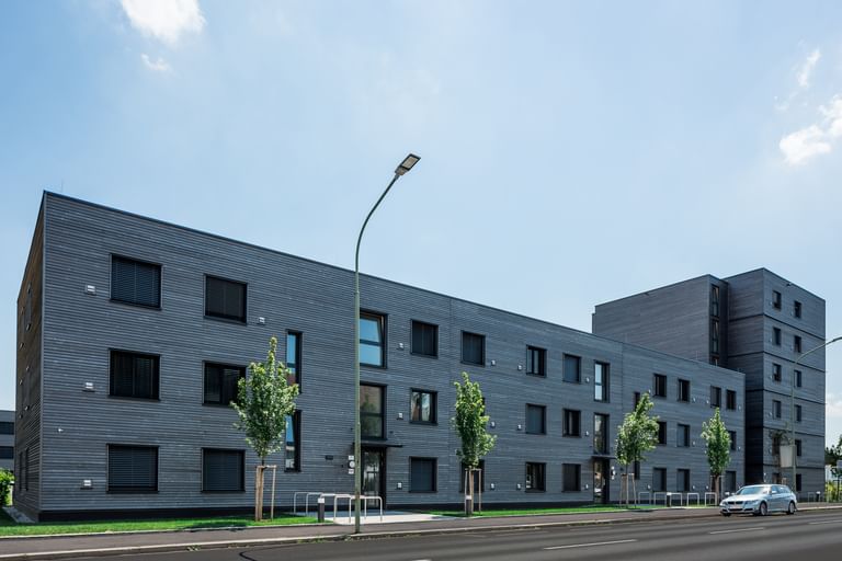 Grünes und Bäume vor dem Wohngebäude